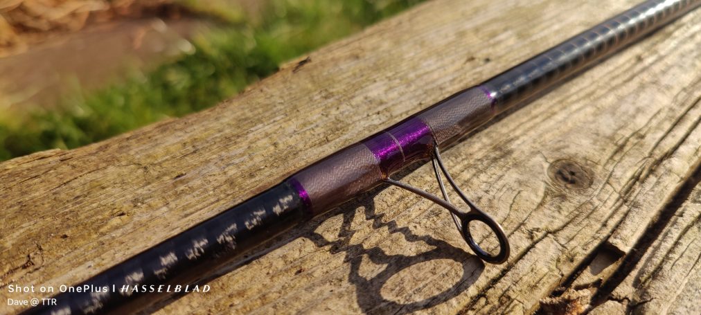 Silverfish swingtip rod