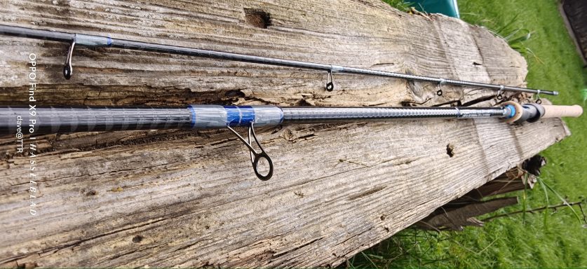 TTR Silver Fish Swing Tip Rod 
