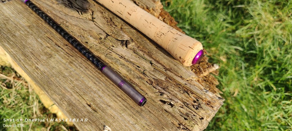 Silverfish swingtip rod