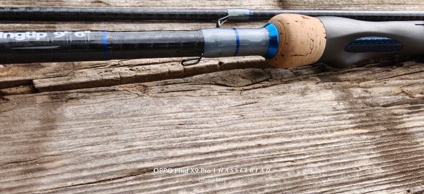 TTR Silver Fish Swing Tip Rod 